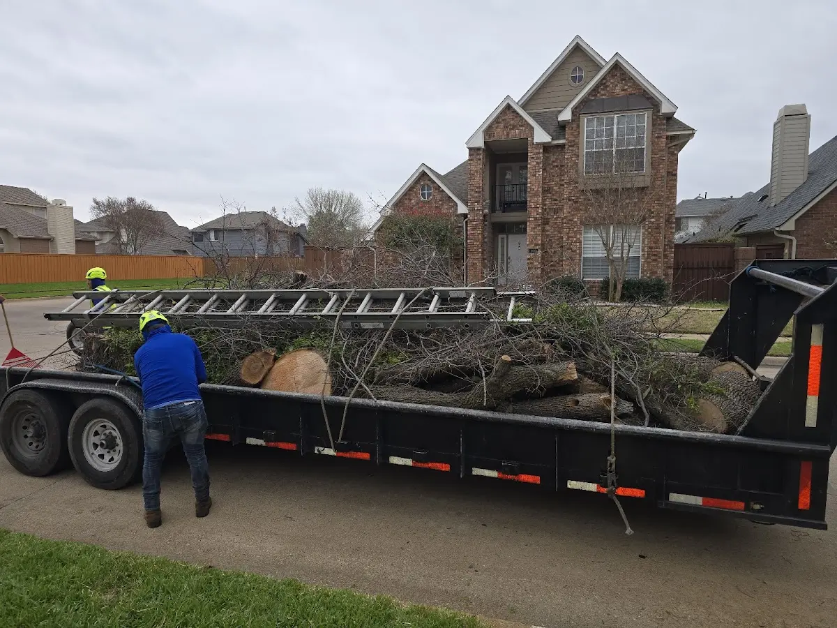 Expert Lot Clearing with proper safety equipment in Kramer